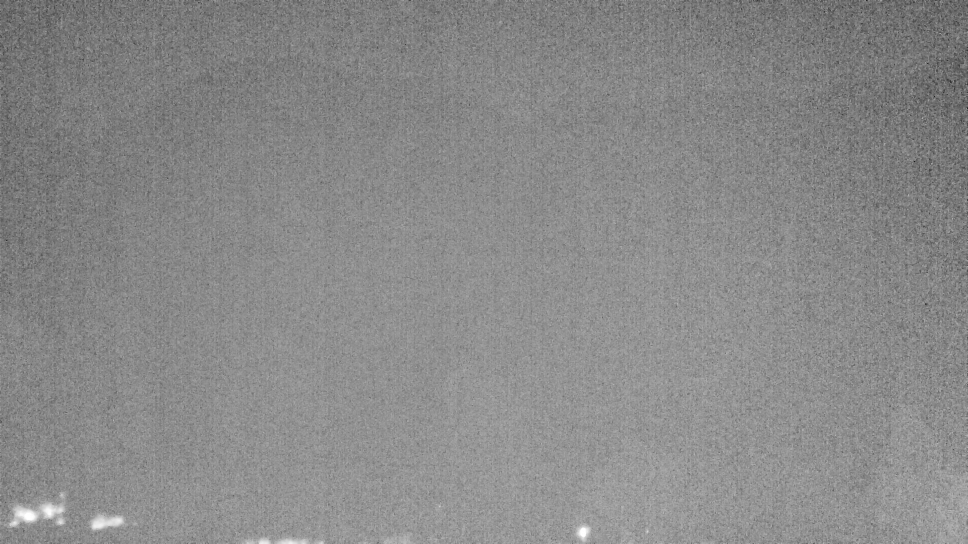 Archiv Foto Webcam Plansee Seespitze