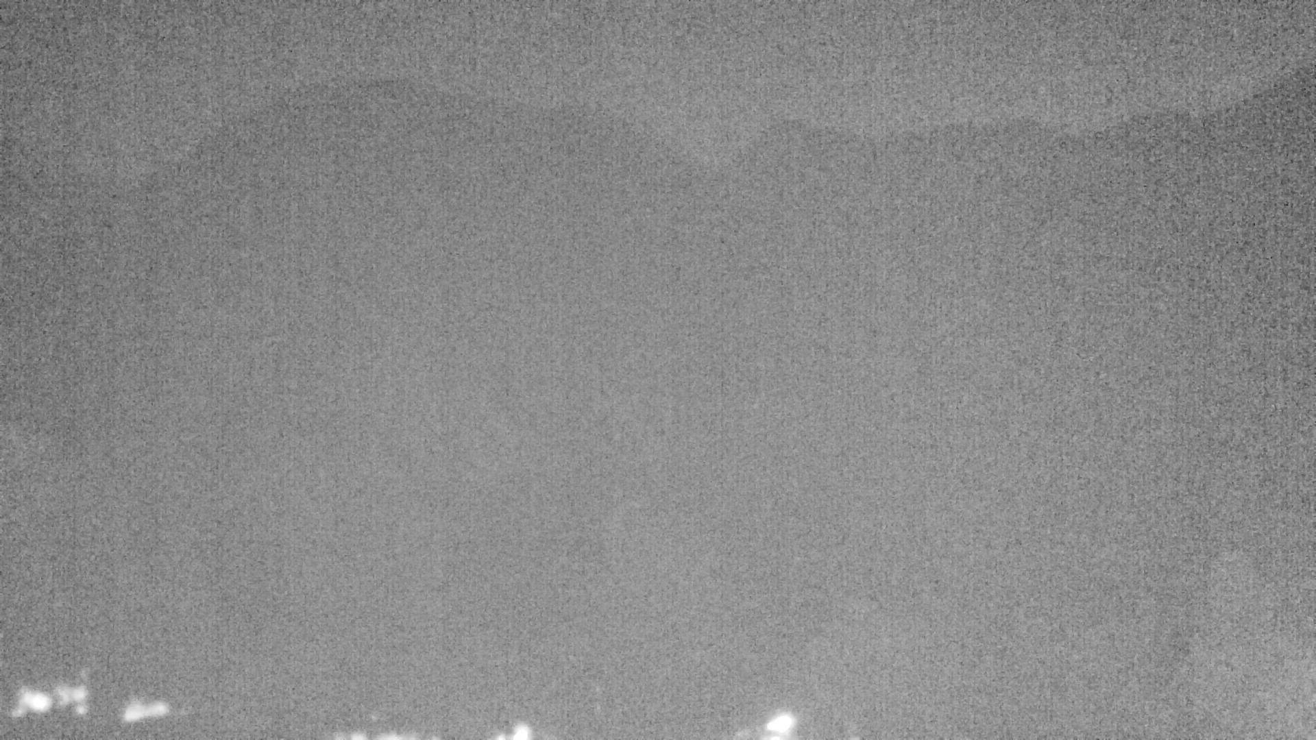 Archiv Foto Webcam Plansee Seespitze