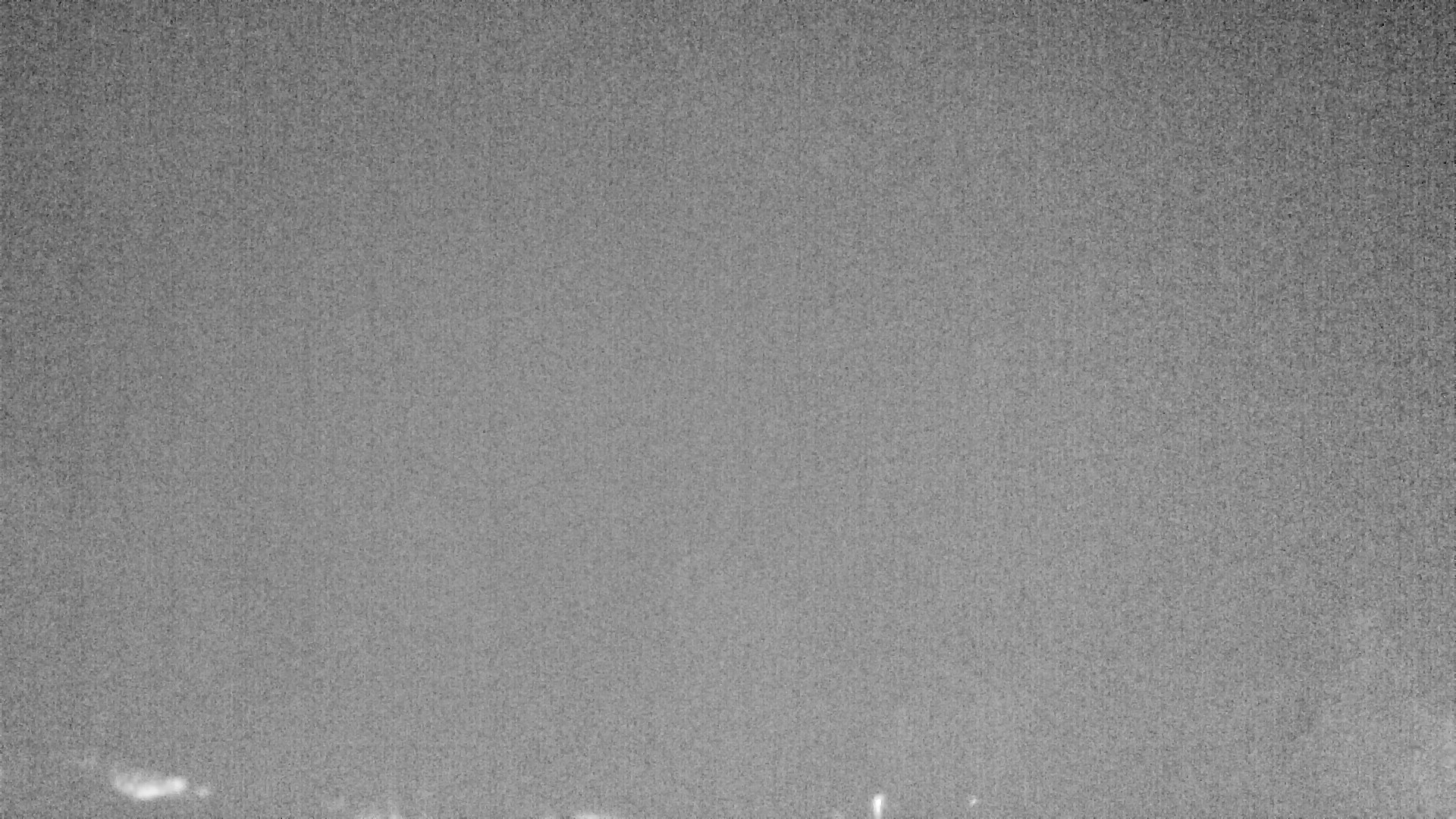 Archiv Foto Webcam Plansee Seespitze