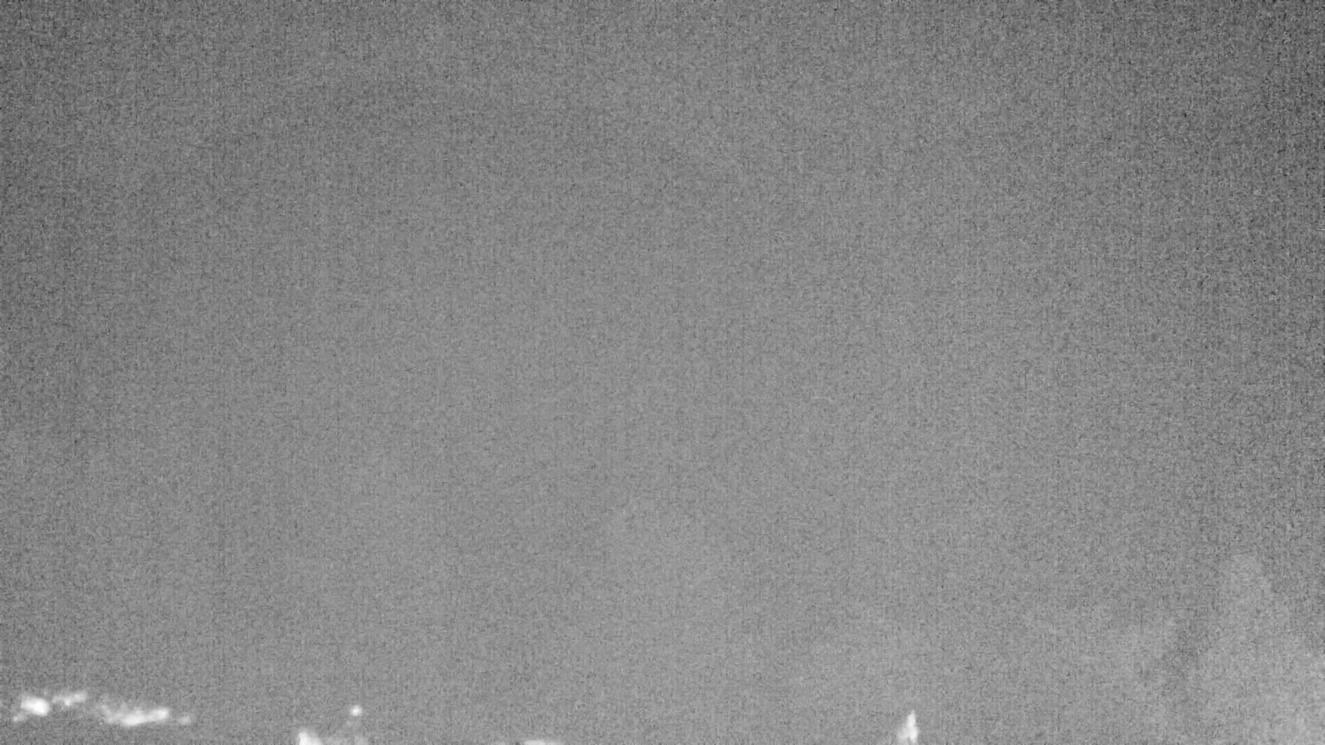 Archived image Webcam Plansee, Reutte