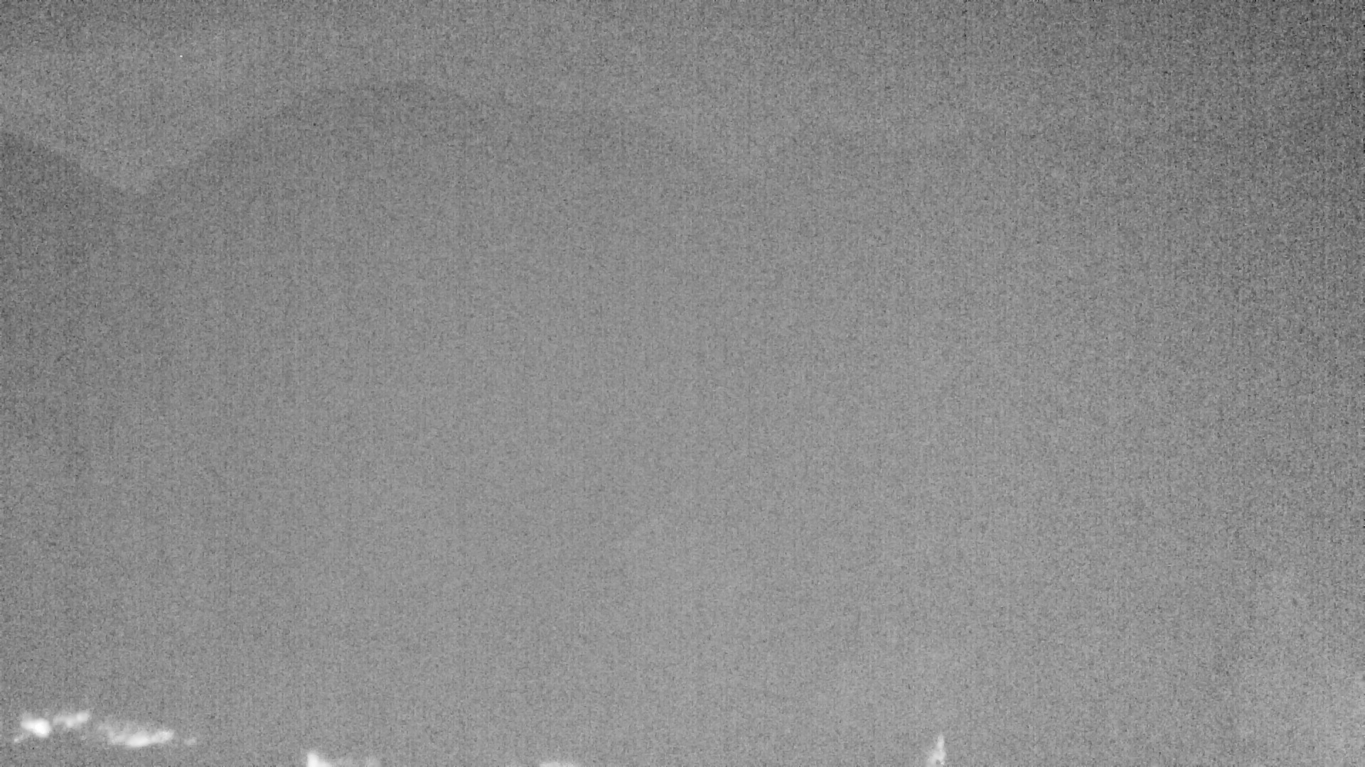 Archiv Foto Webcam Plansee Seespitze
