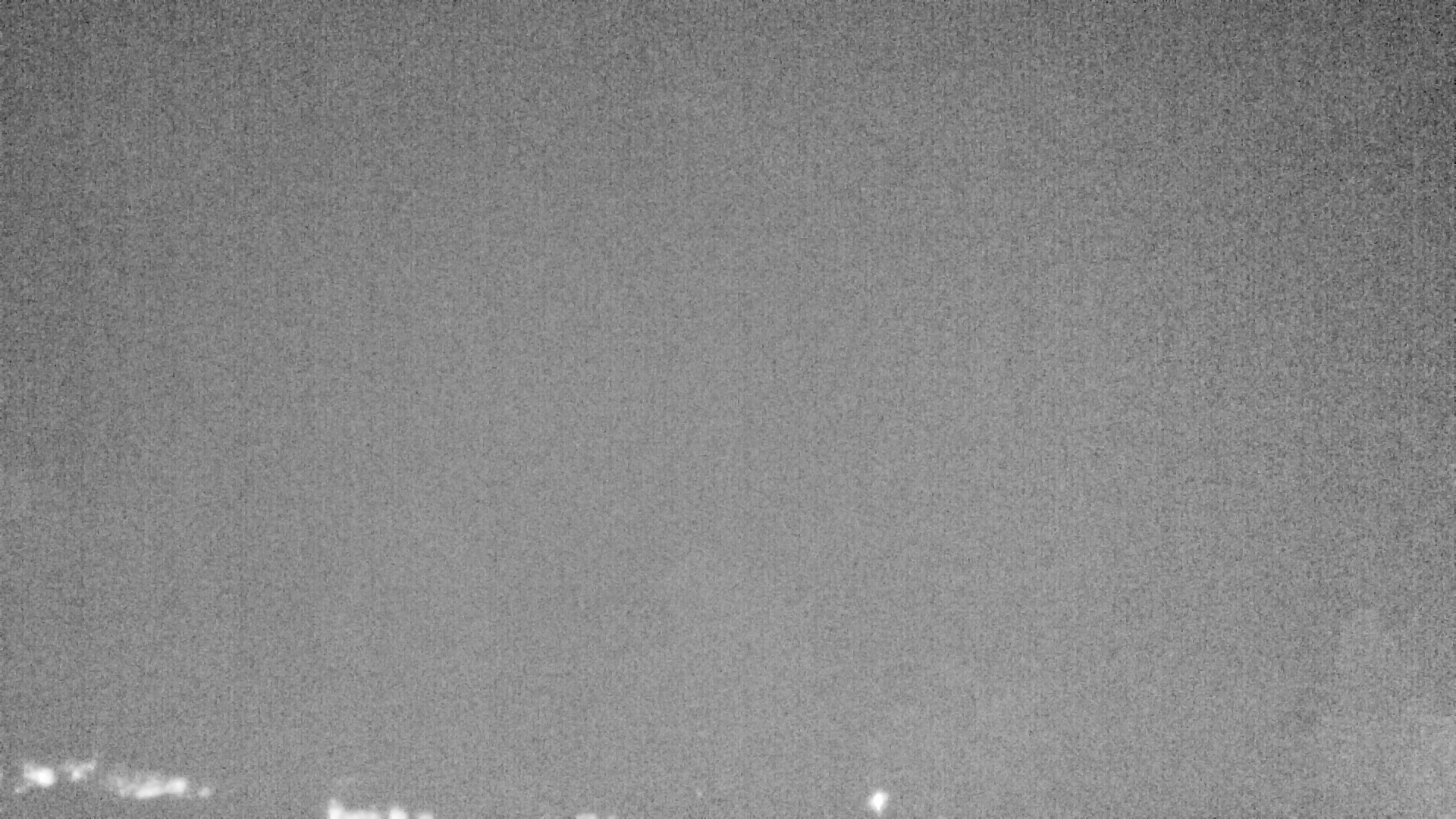 Archiv Foto Webcam Plansee Seespitze