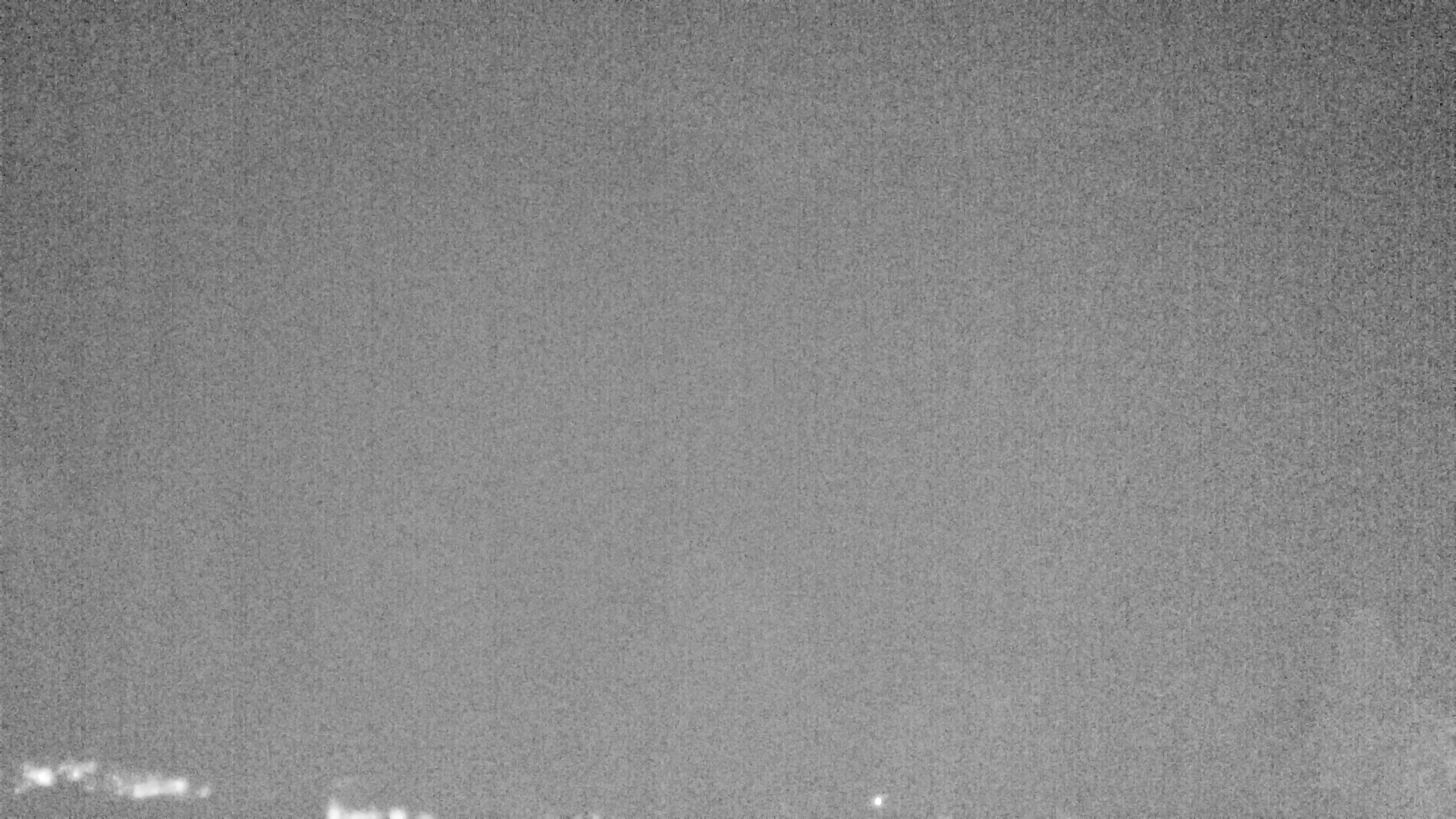 Archiv Foto Webcam Plansee Seespitze
