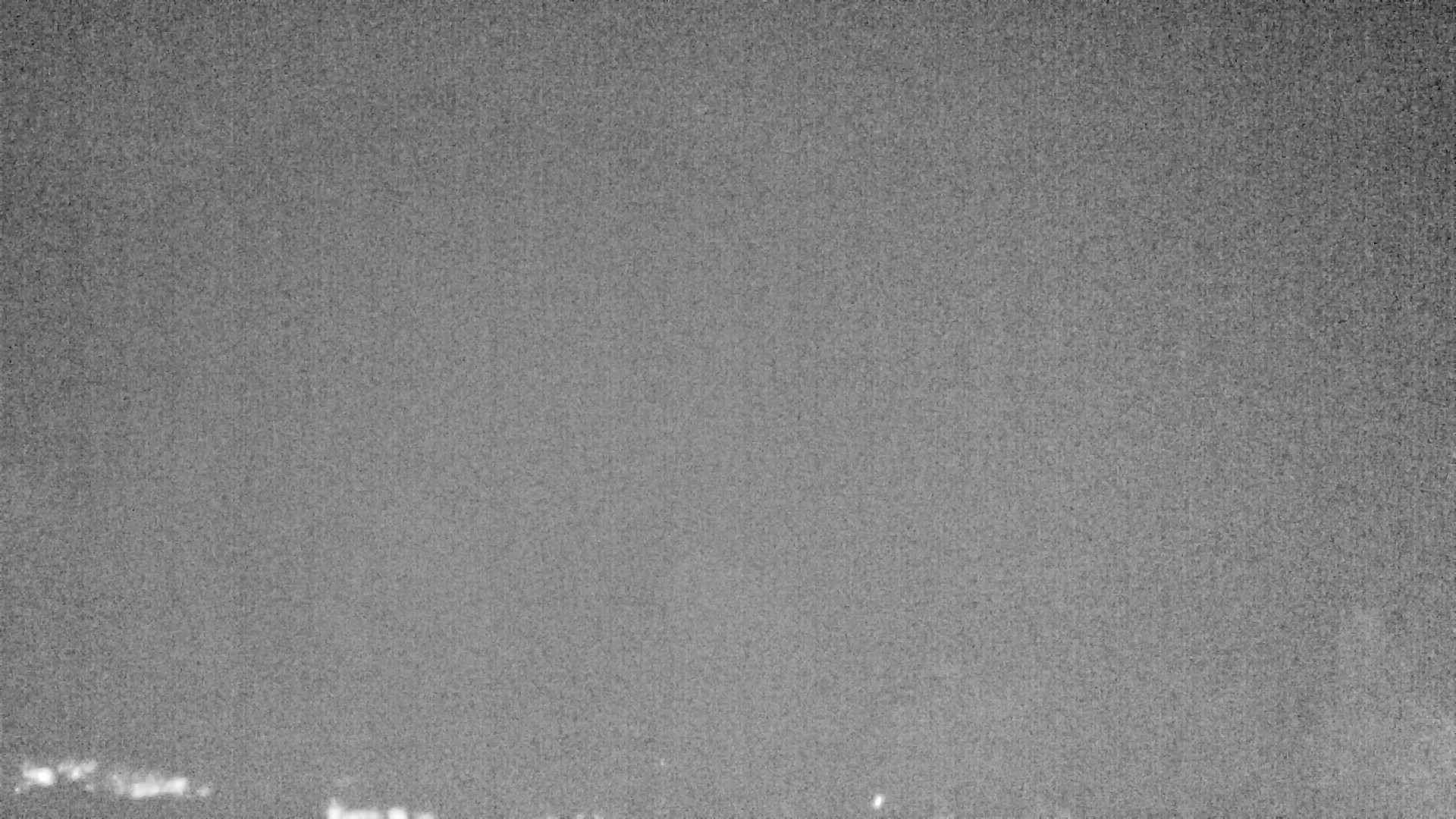 Archiv Foto Webcam Plansee Seespitze