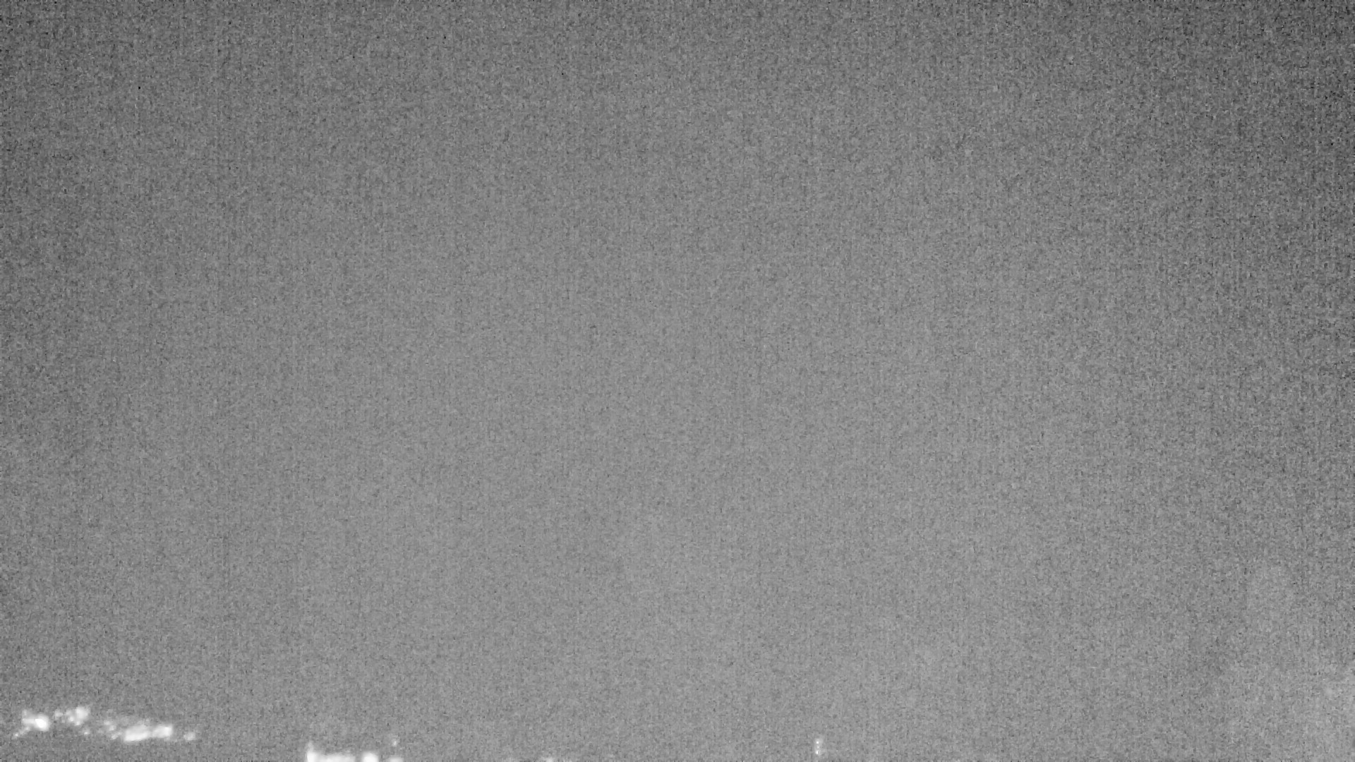 Archiv Foto Webcam Plansee Seespitze