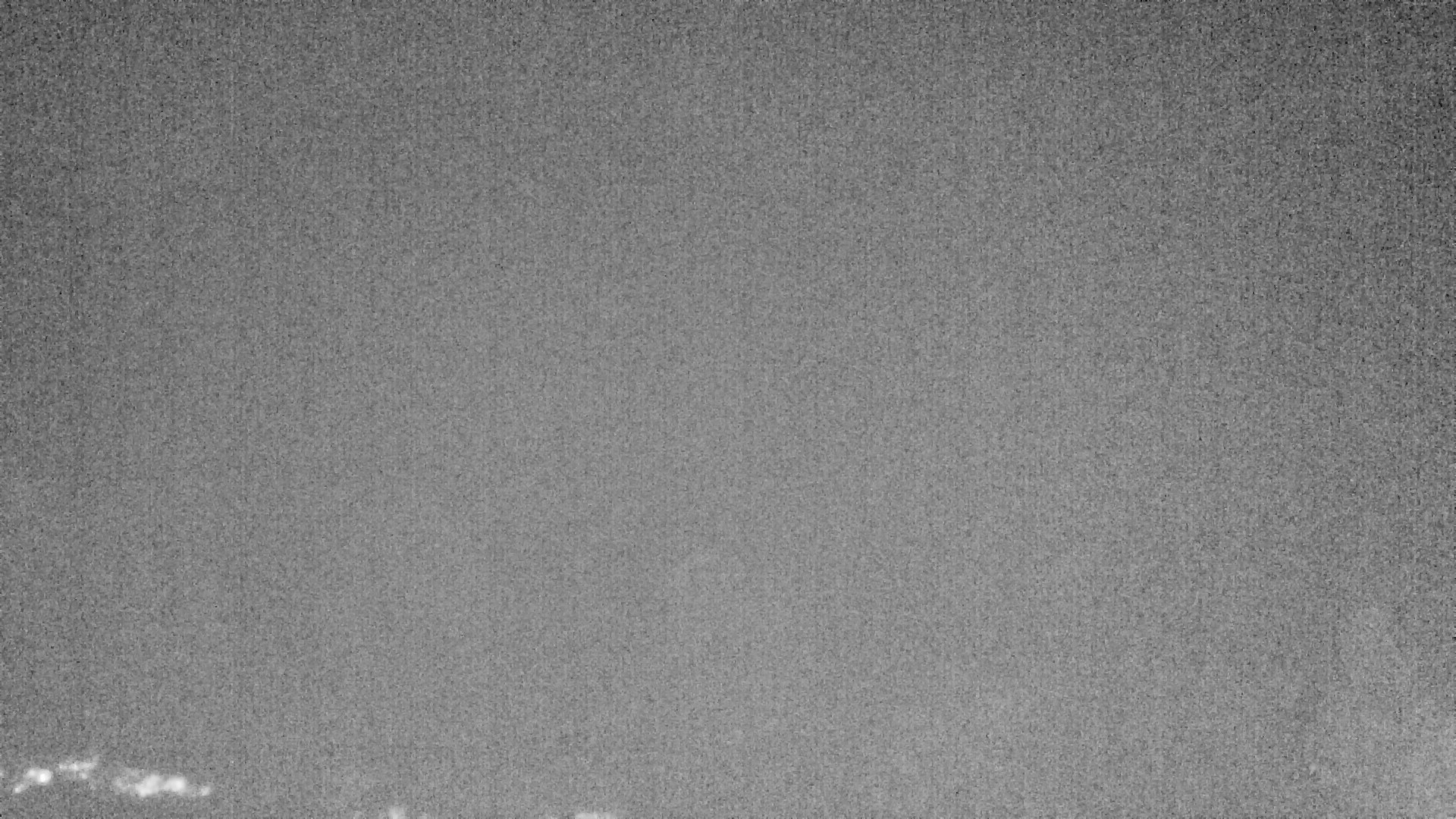 Archiv Foto Webcam Plansee Seespitze