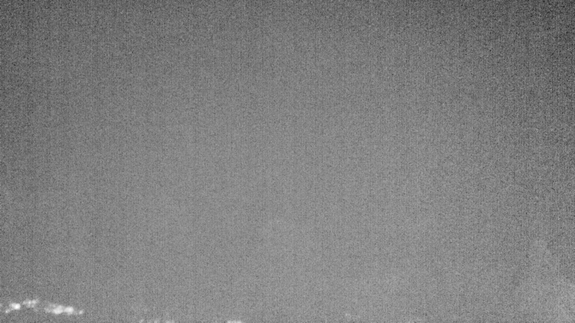 Archiv Foto Webcam Plansee Seespitze