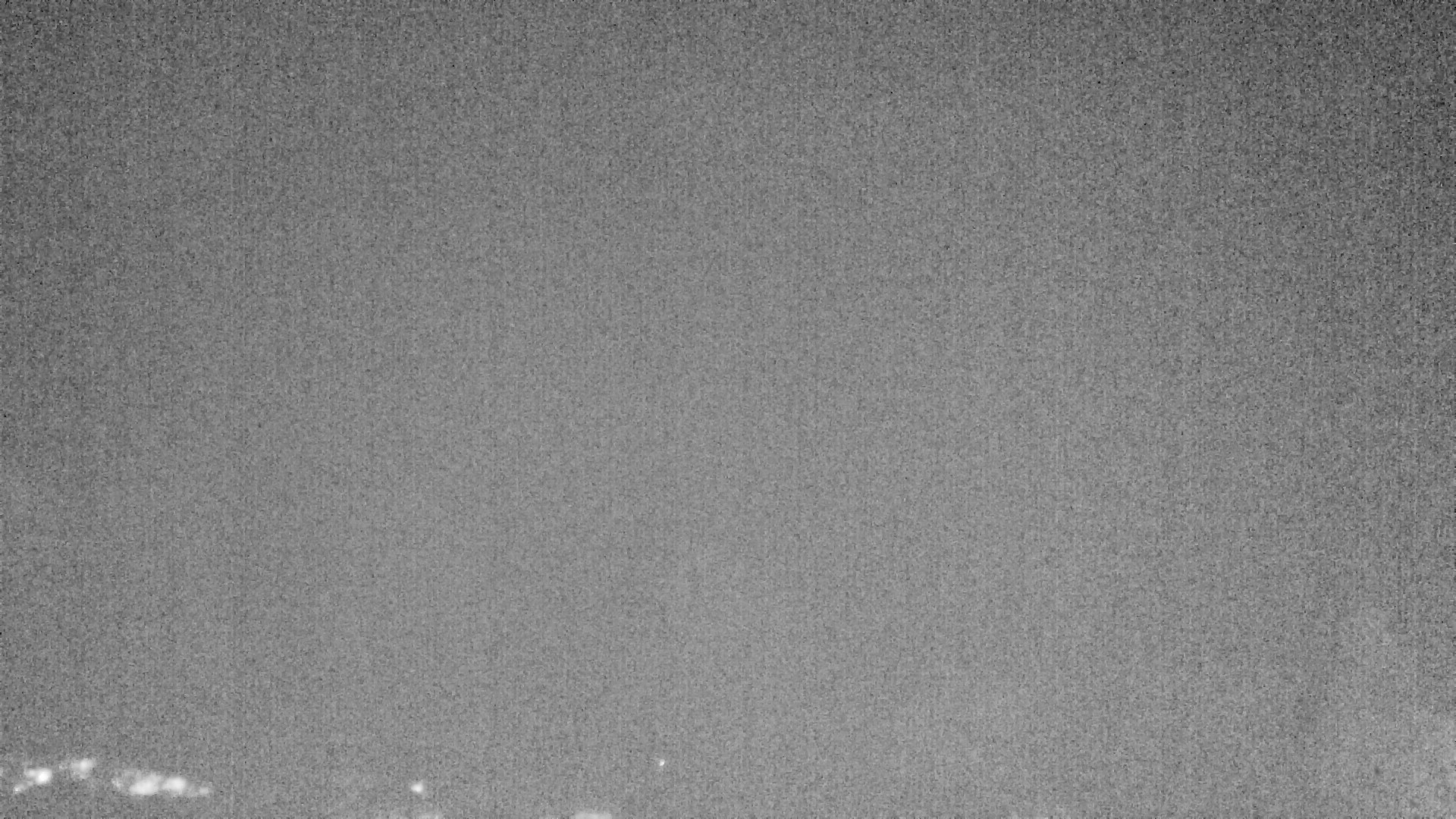 Archiv Foto Webcam Plansee Seespitze
