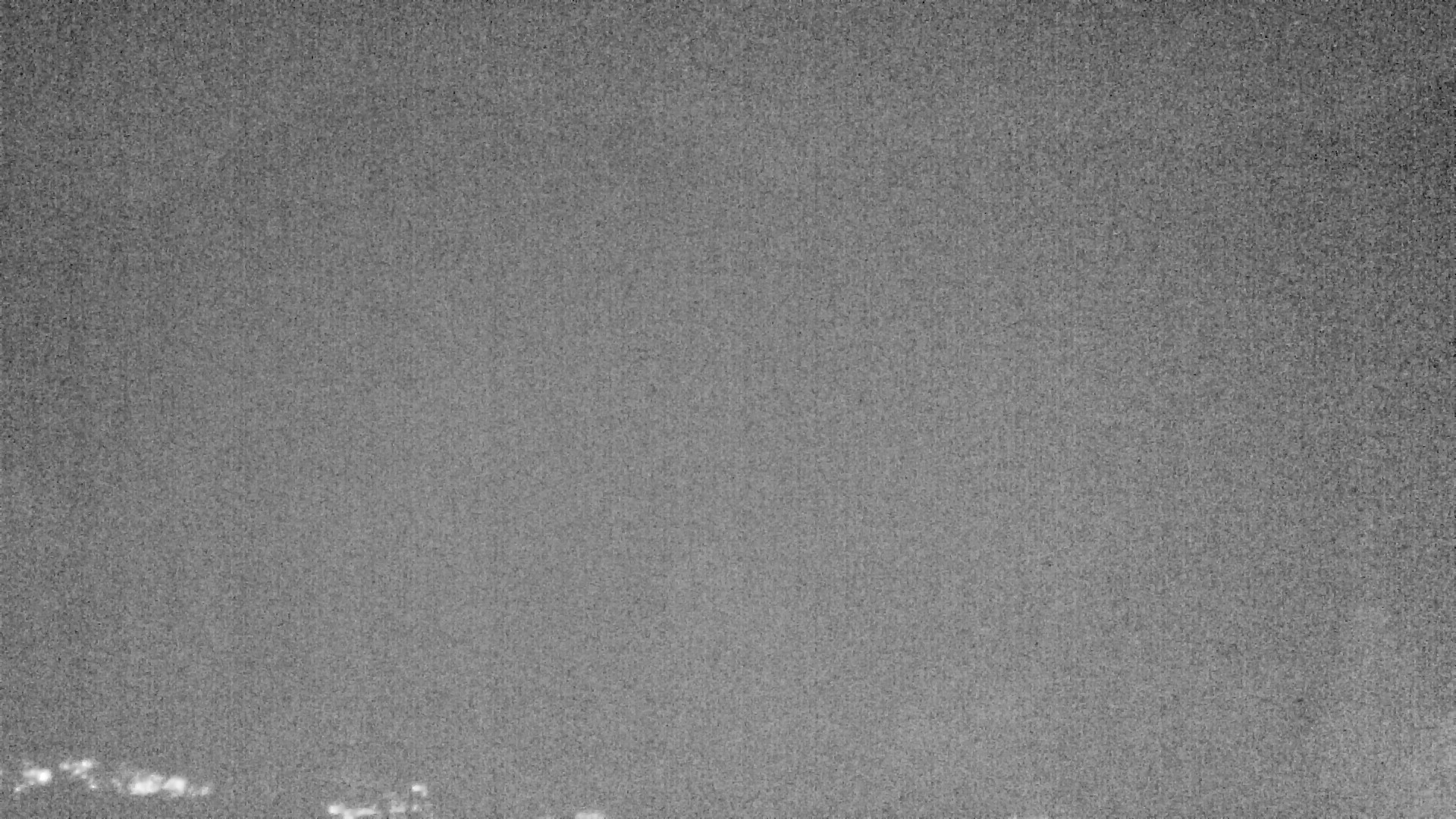 Archived image Webcam Plansee, Reutte
