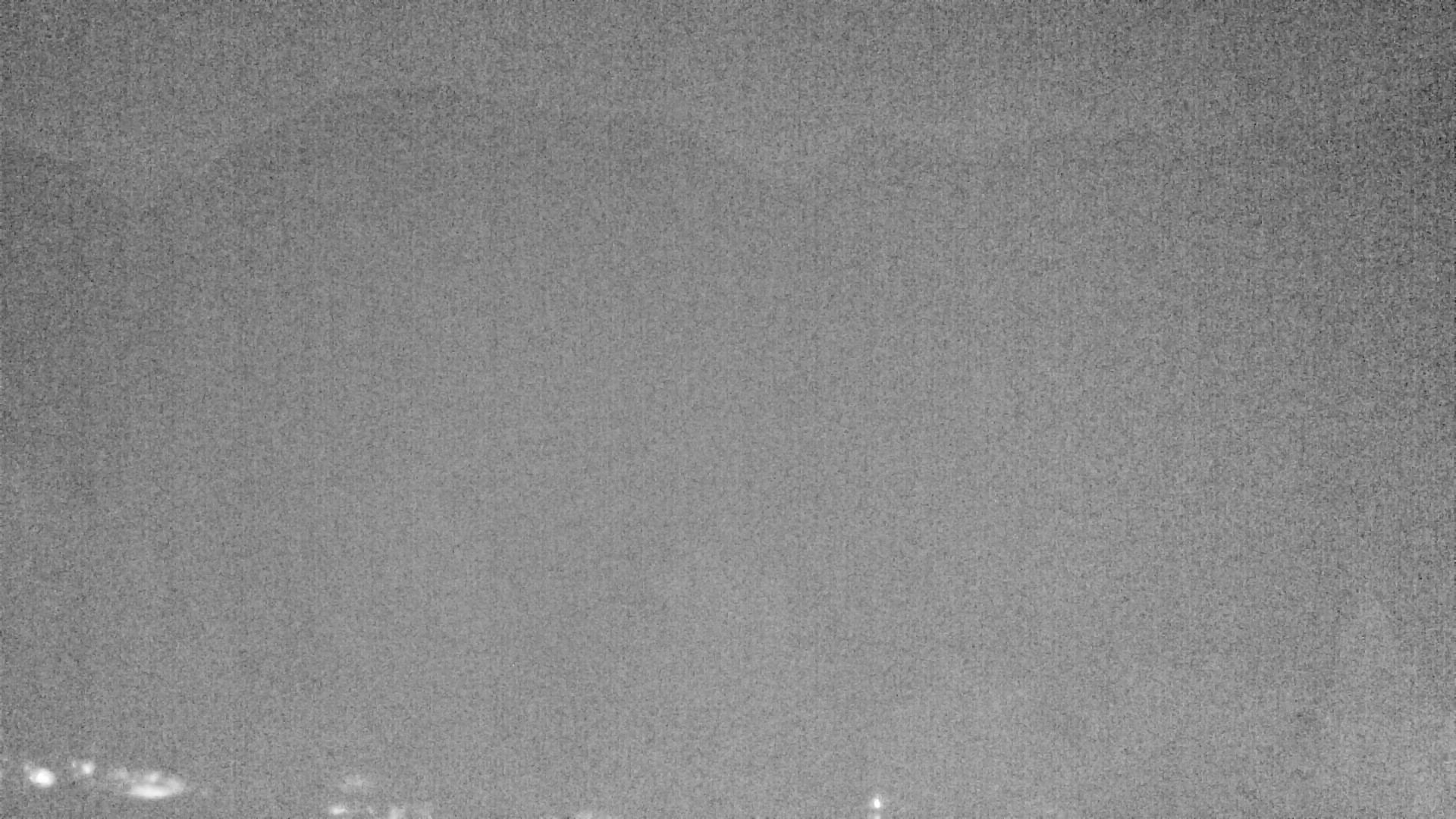 Archiv Foto Webcam Plansee Seespitze