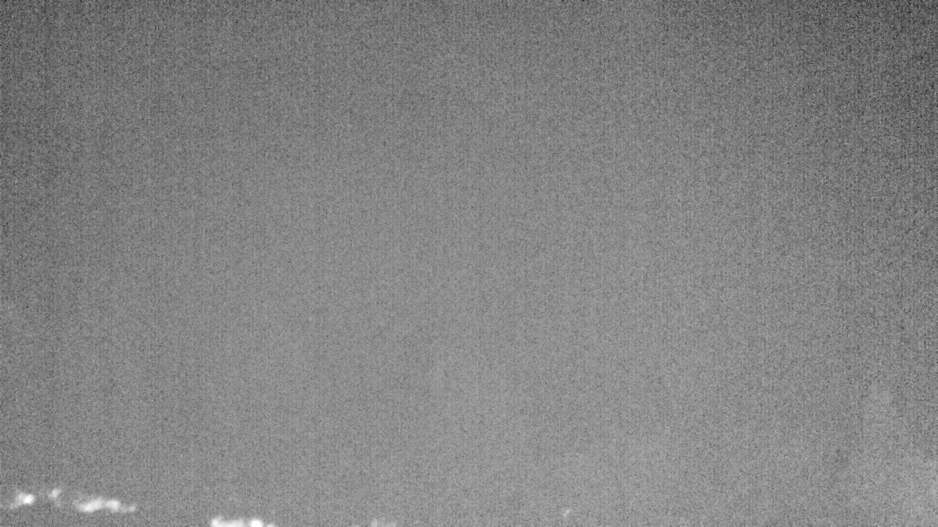 Archiv Foto Webcam Plansee Seespitze