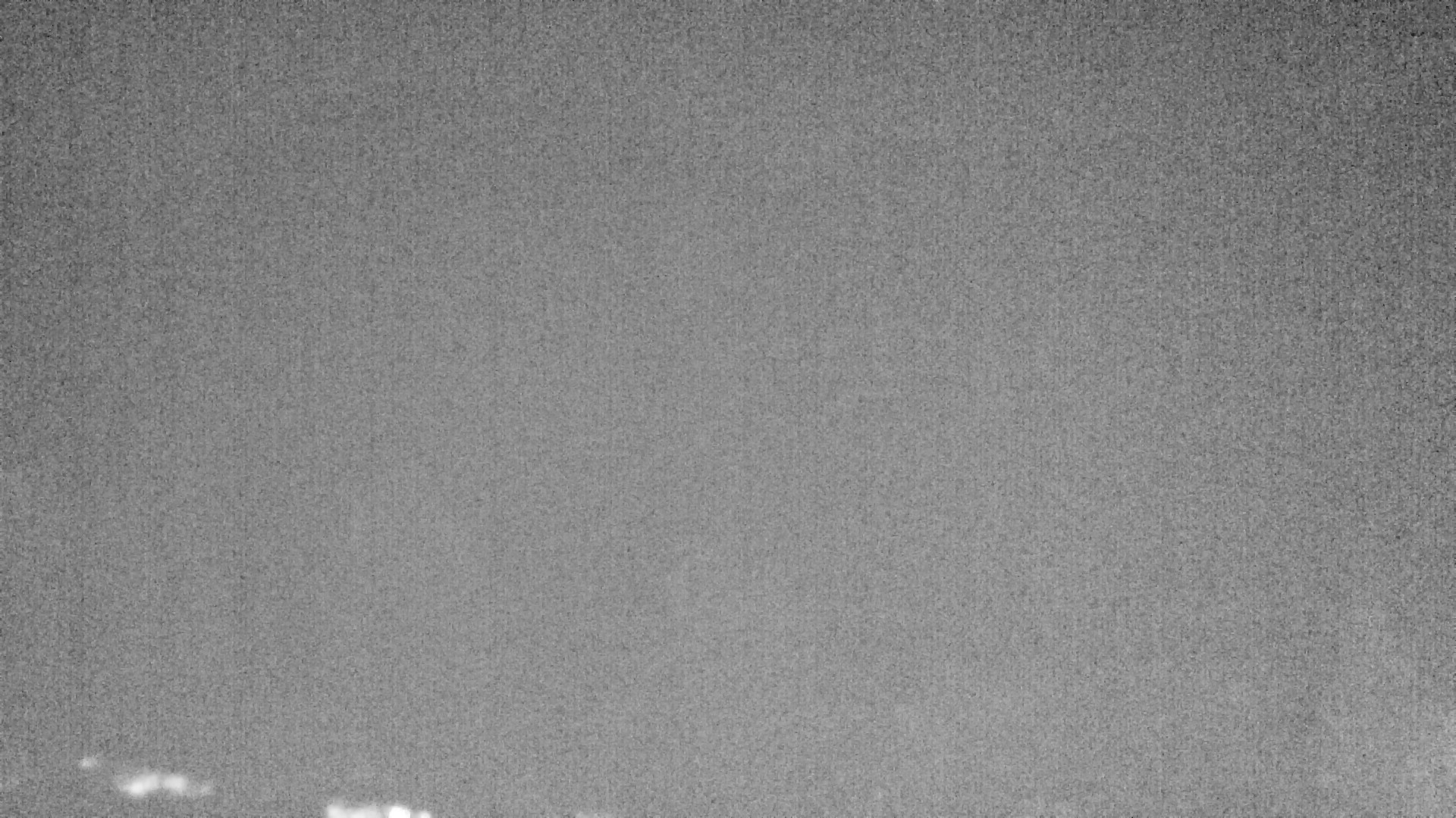 Archiv Foto Webcam Plansee Seespitze