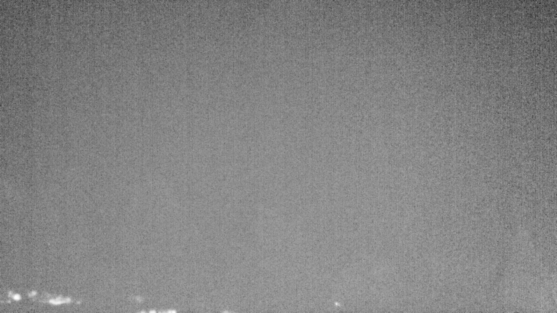 Archiv Foto Webcam Plansee Seespitze