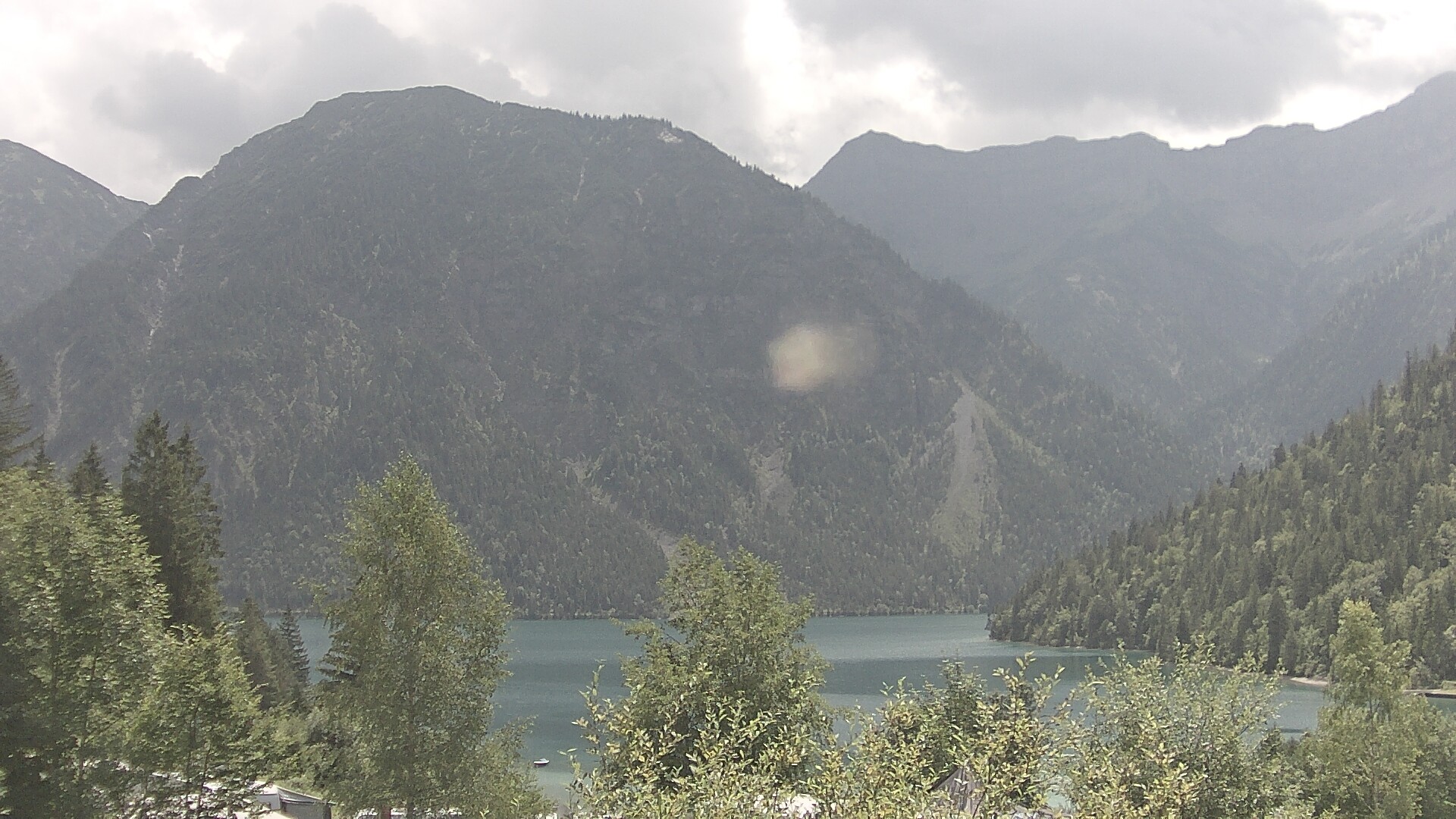 Archiv Foto Webcam Plansee Seespitze