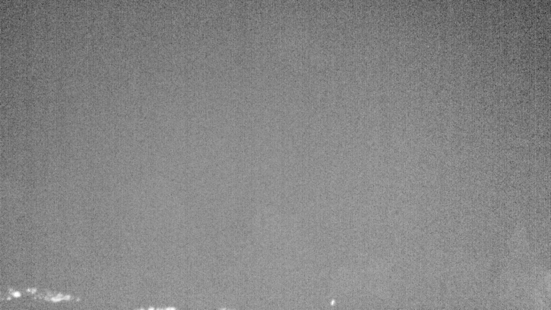 Archiv Foto Webcam Plansee Seespitze