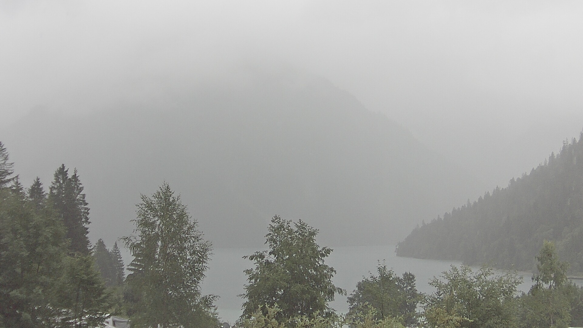 Archiv Foto Webcam Plansee Seespitze