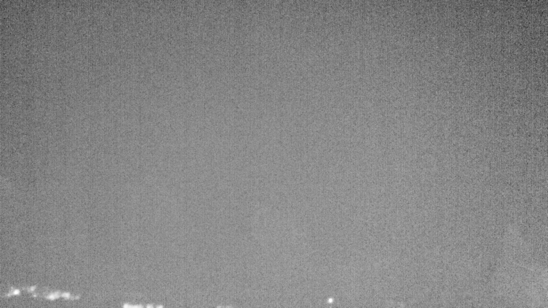 Archiv Foto Webcam Plansee Seespitze