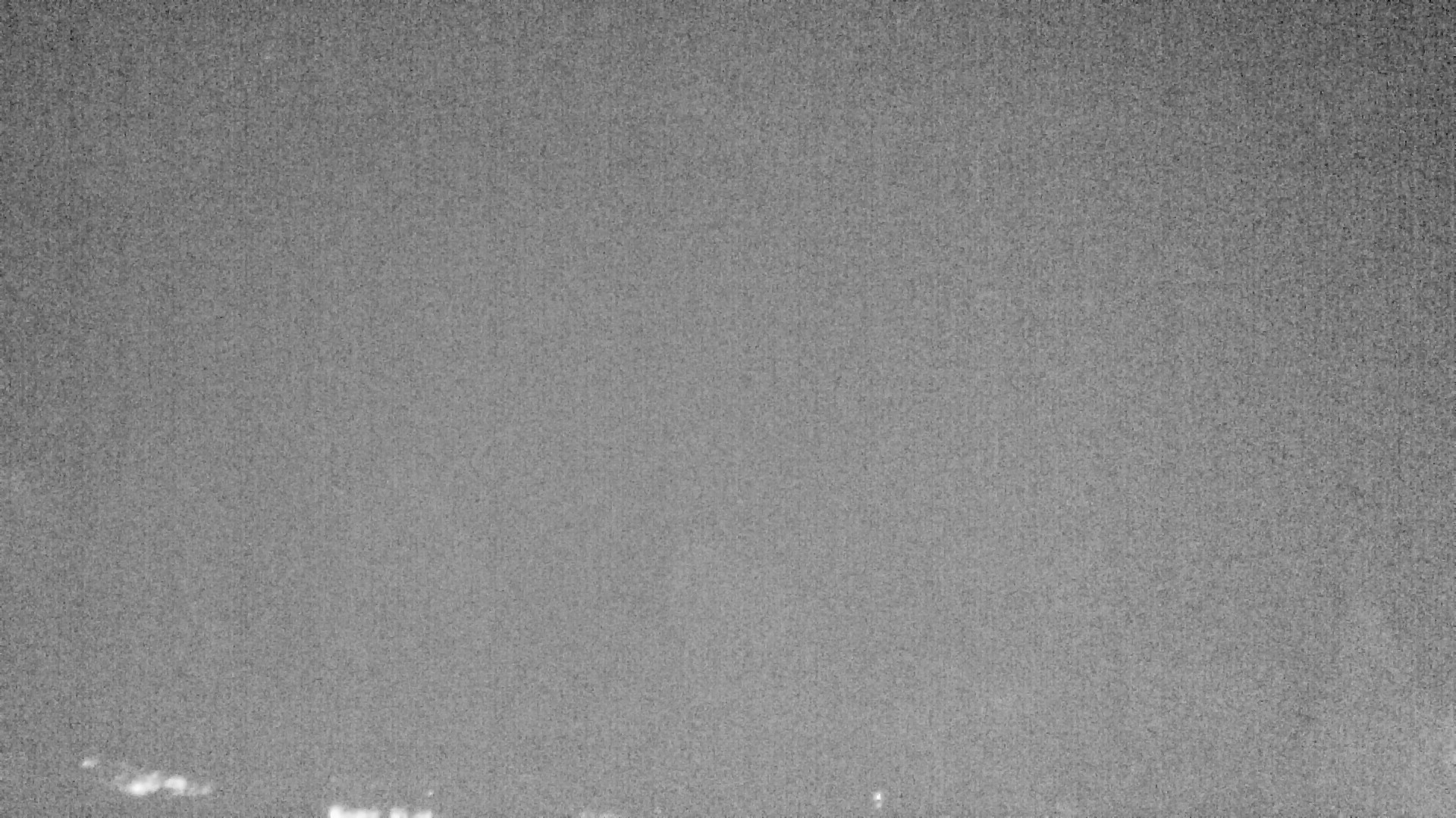 Archiv Foto Webcam Plansee Seespitze