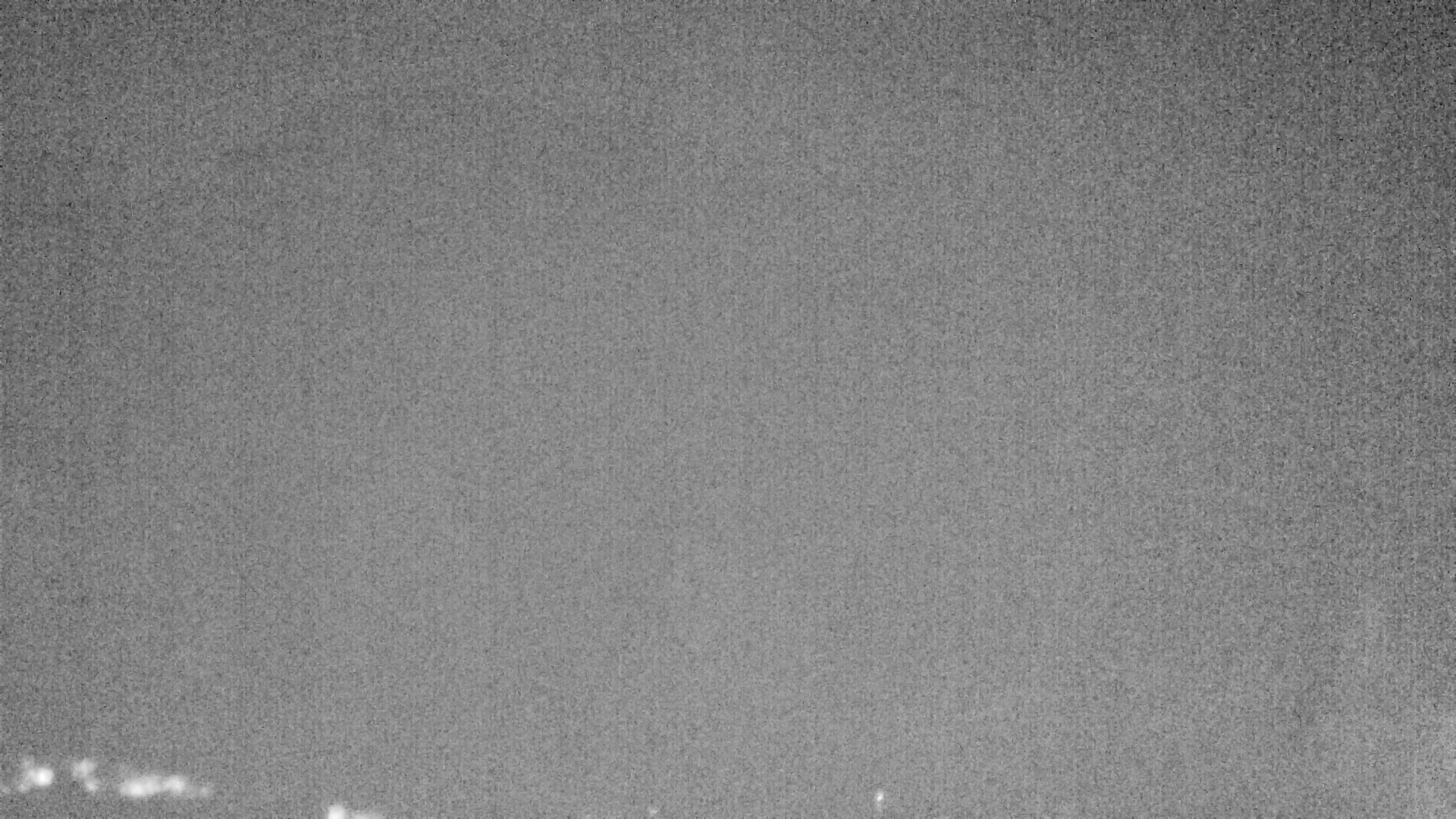Archiv Foto Webcam Plansee Seespitze