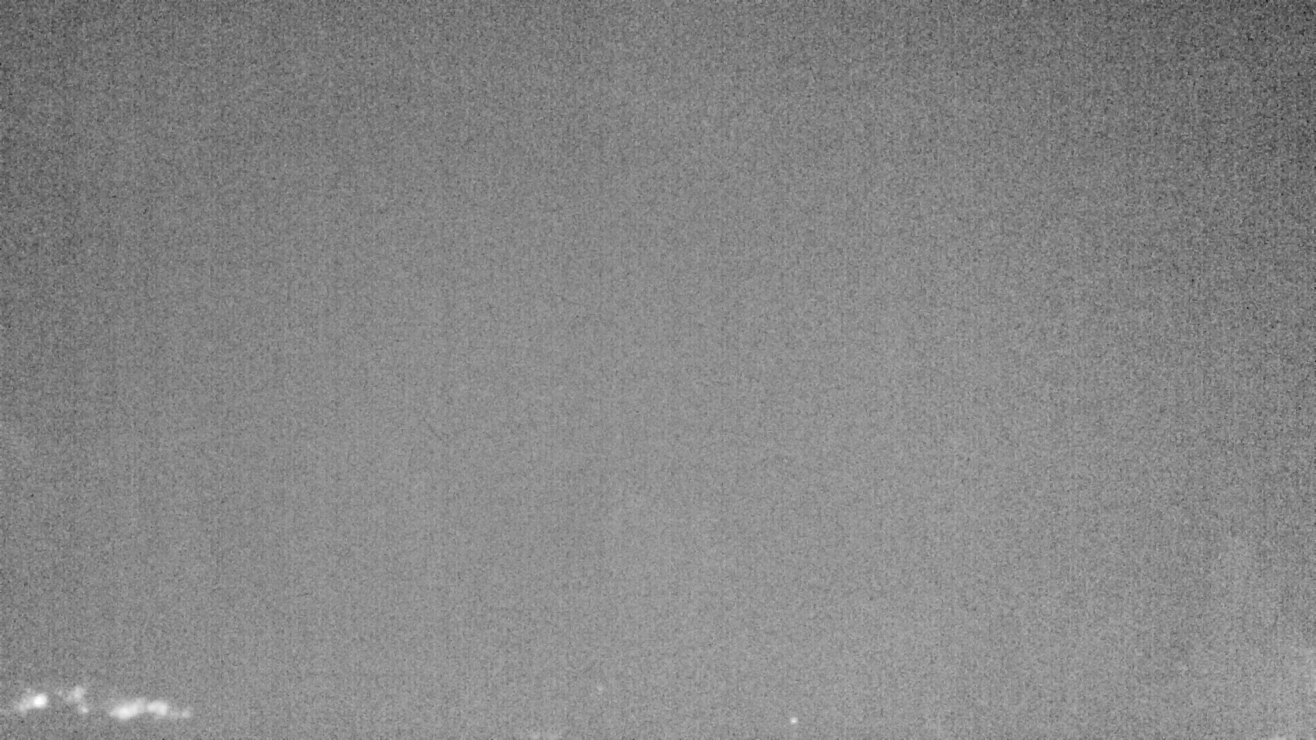 Archiv Foto Webcam Plansee Seespitze