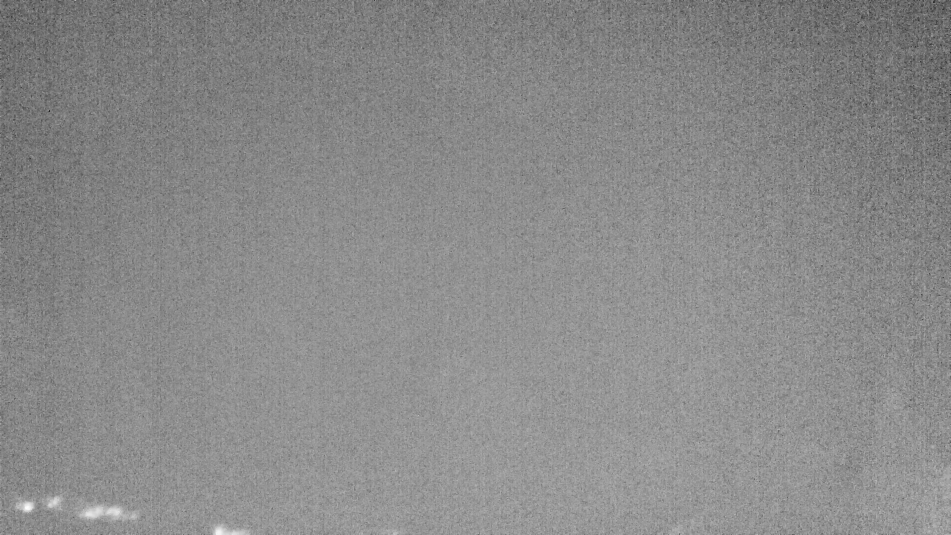 Archiv Foto Webcam Plansee Seespitze