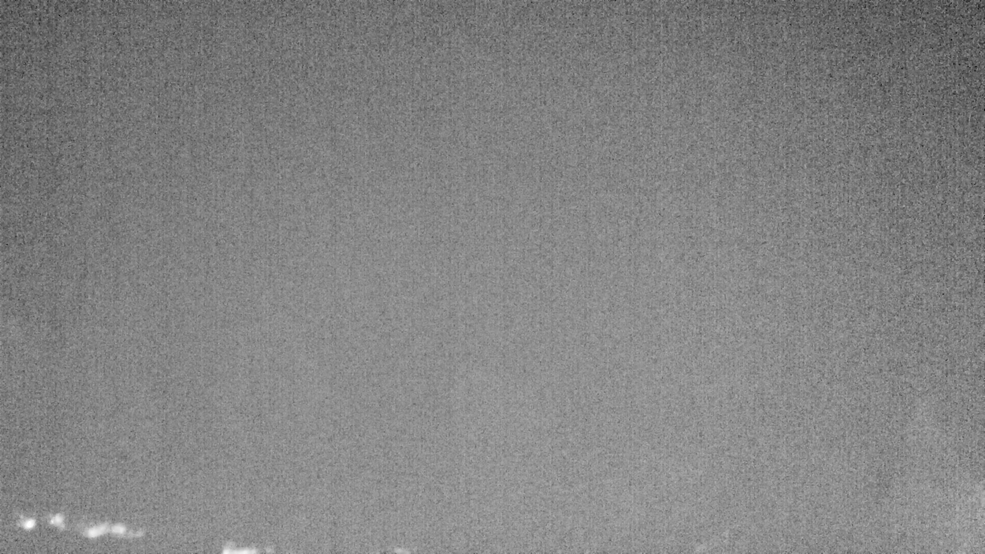 Archiv Foto Webcam Plansee Seespitze