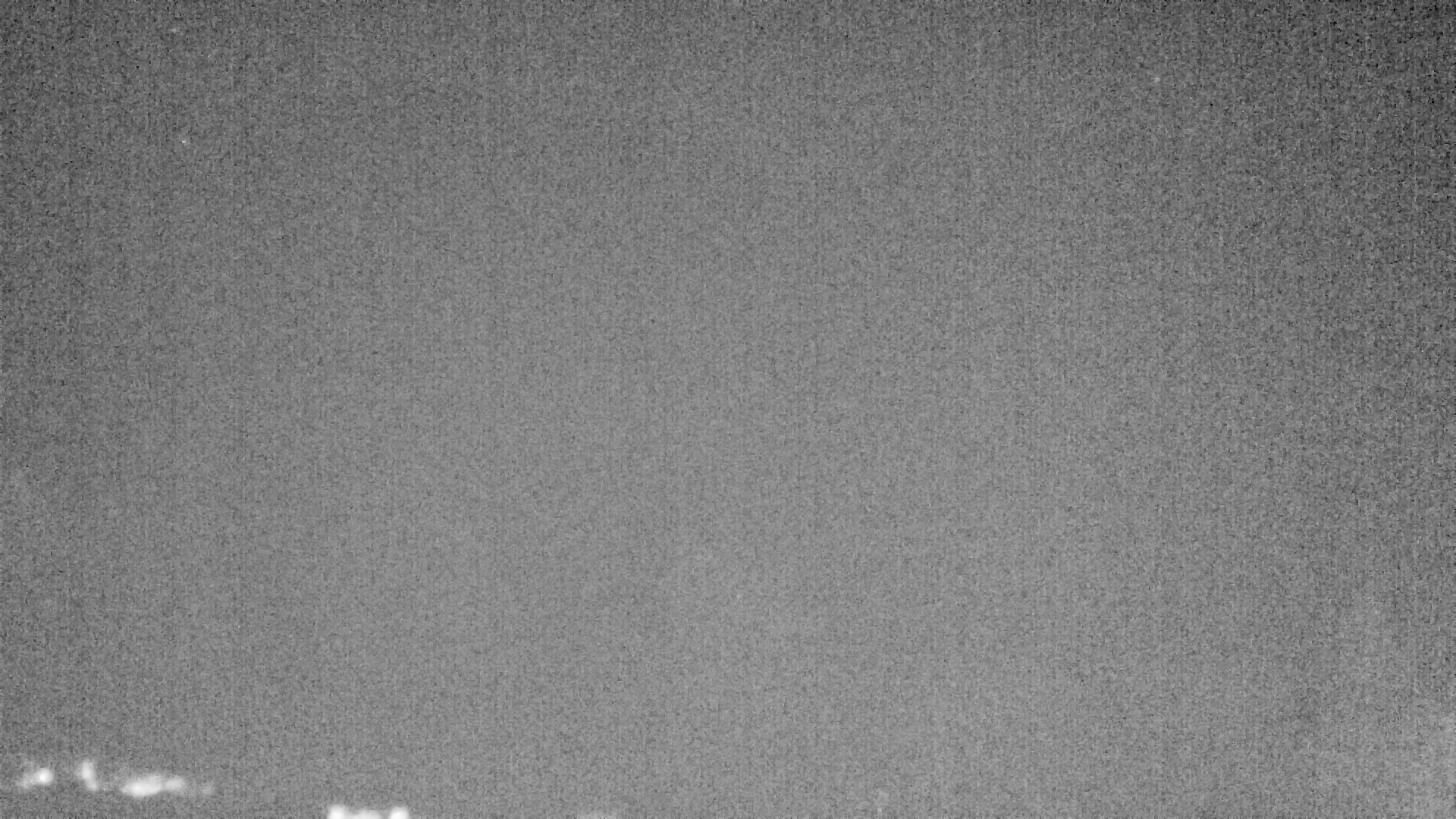 Archiv Foto Webcam Plansee Seespitze
