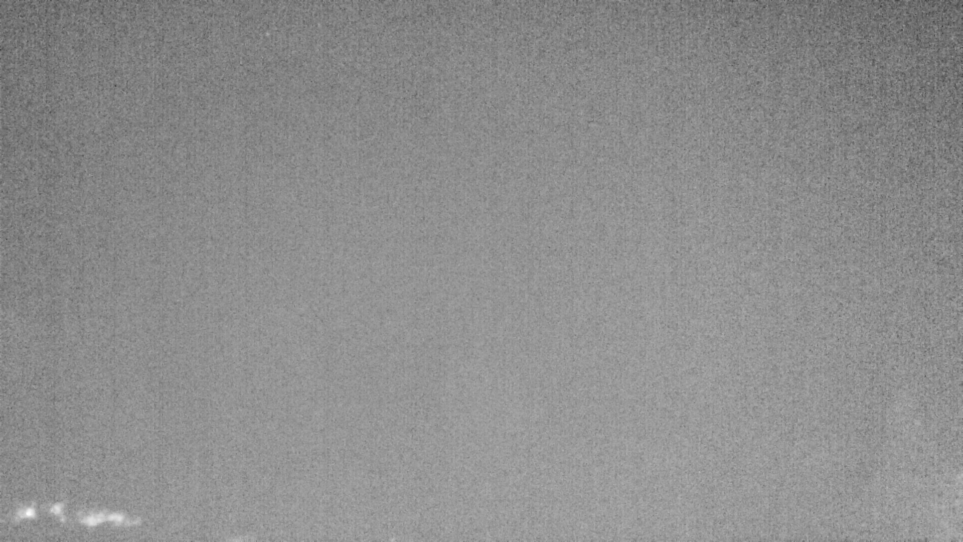 Archiv Foto Webcam Plansee Seespitze