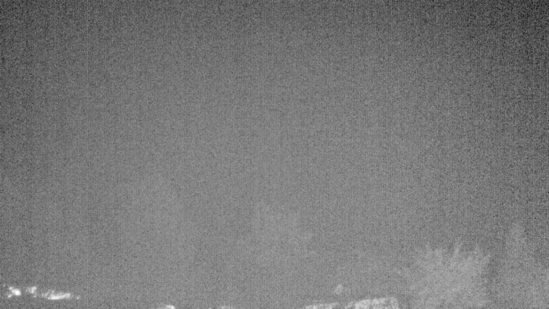 Archiv Foto Webcam Plansee Seespitze