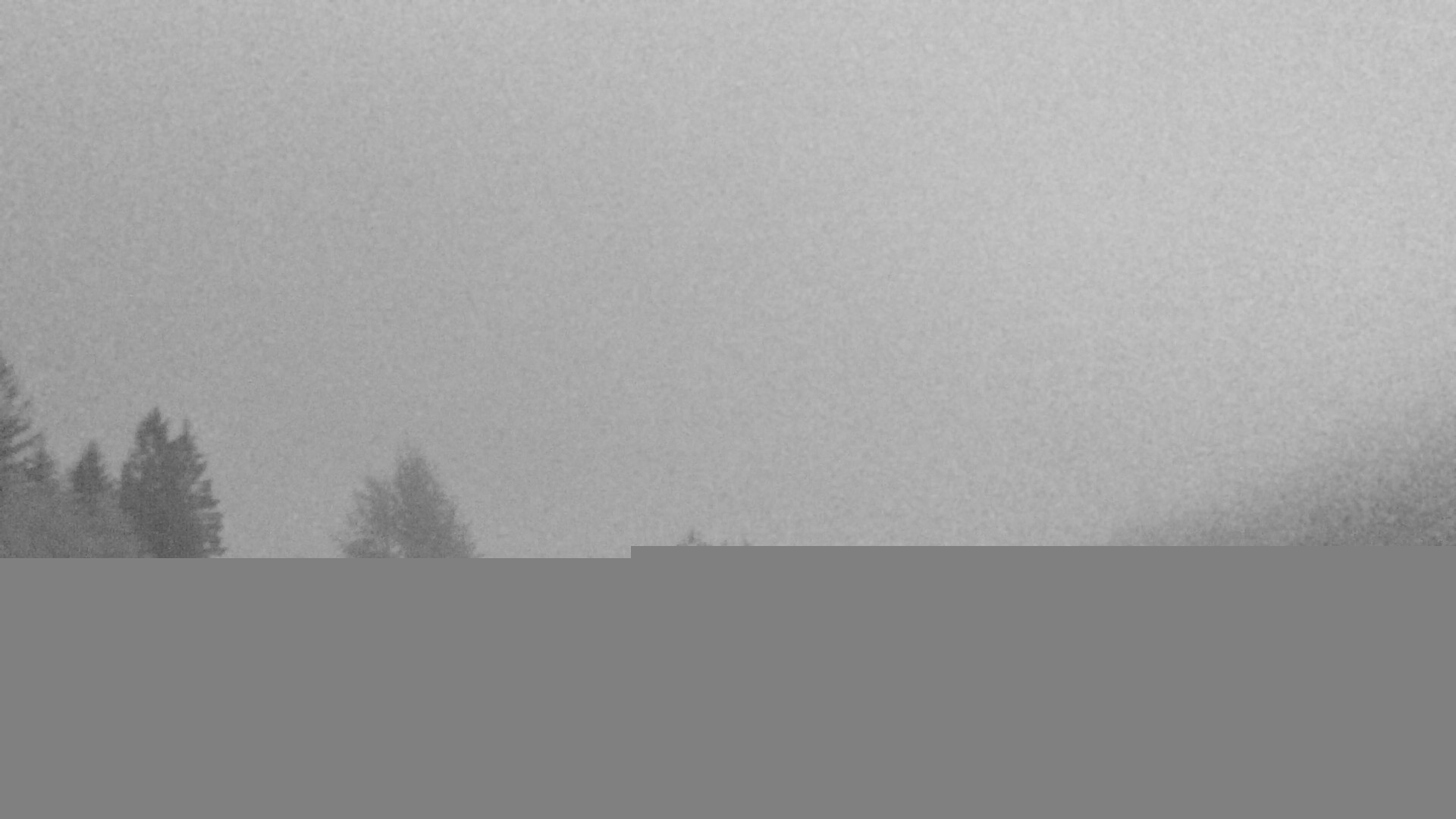 Archiv Foto Webcam Plansee Seespitze