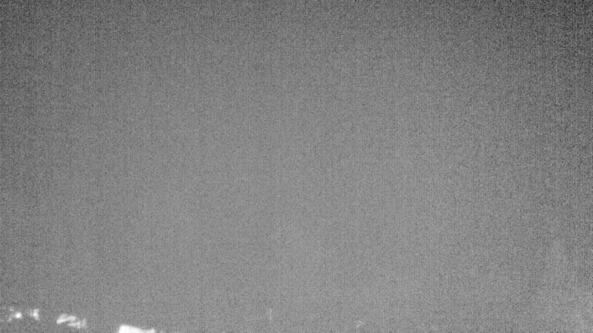 Archived image Webcam Plansee, Reutte