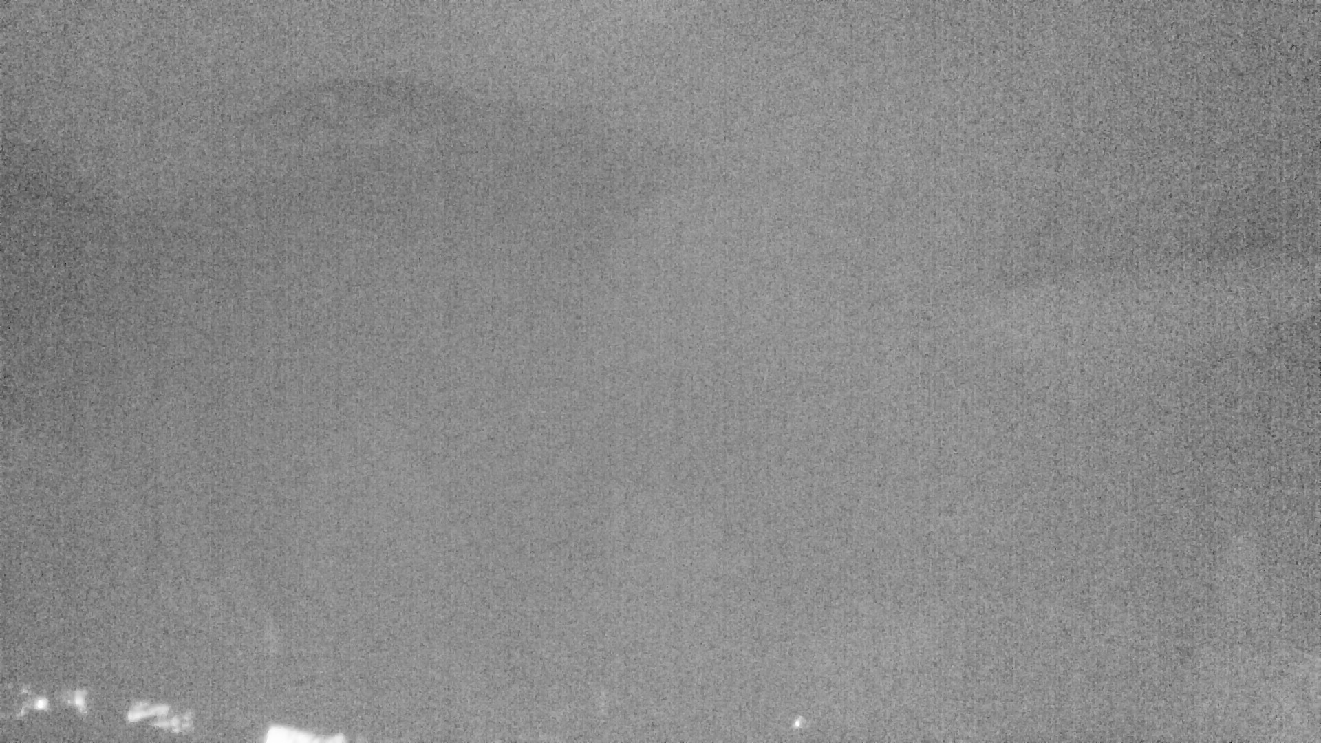 Archived image Webcam Plansee, Reutte
