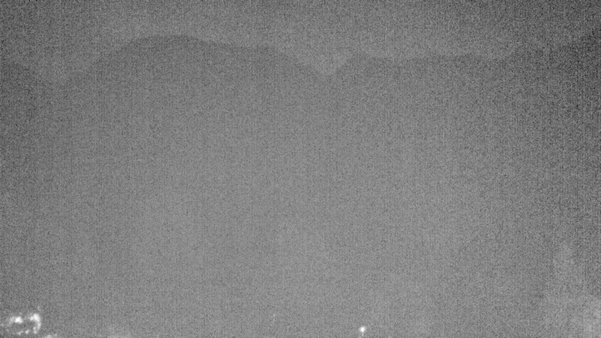 Archiv Foto Webcam Plansee Seespitze