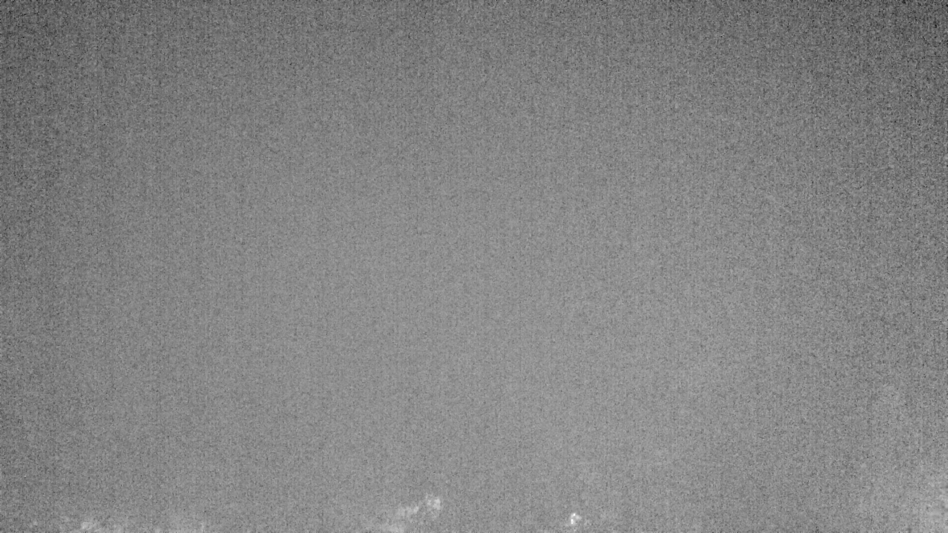 Archived image Webcam Plansee, Reutte