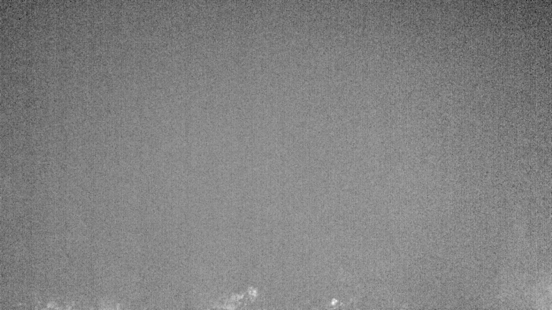 Archiv Foto Webcam Plansee Seespitze