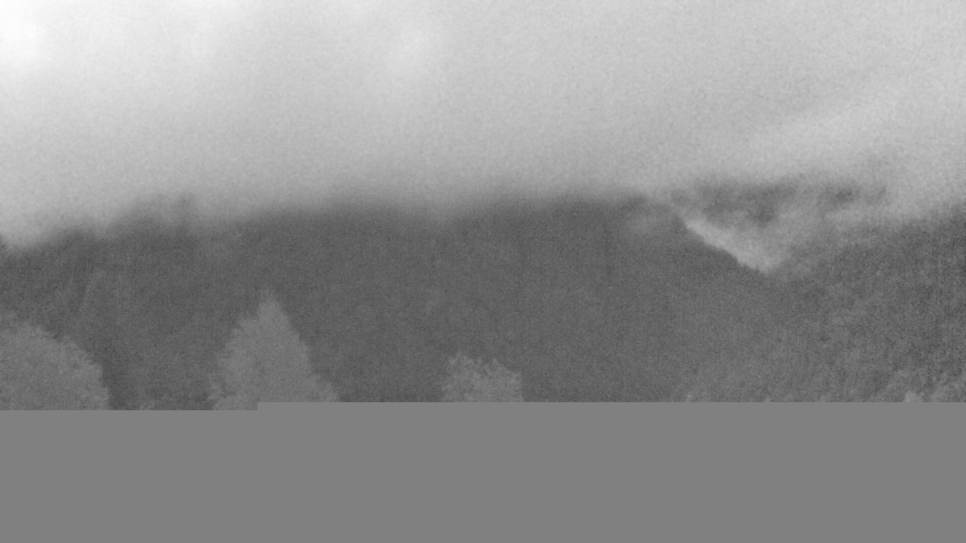 Archiv Foto Webcam Plansee Seespitze