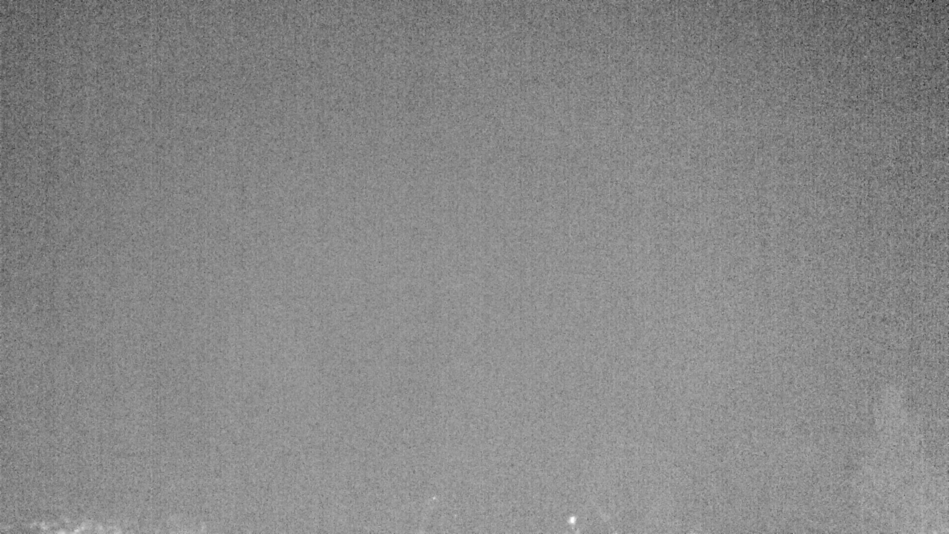 Archived image Webcam Plansee, Reutte