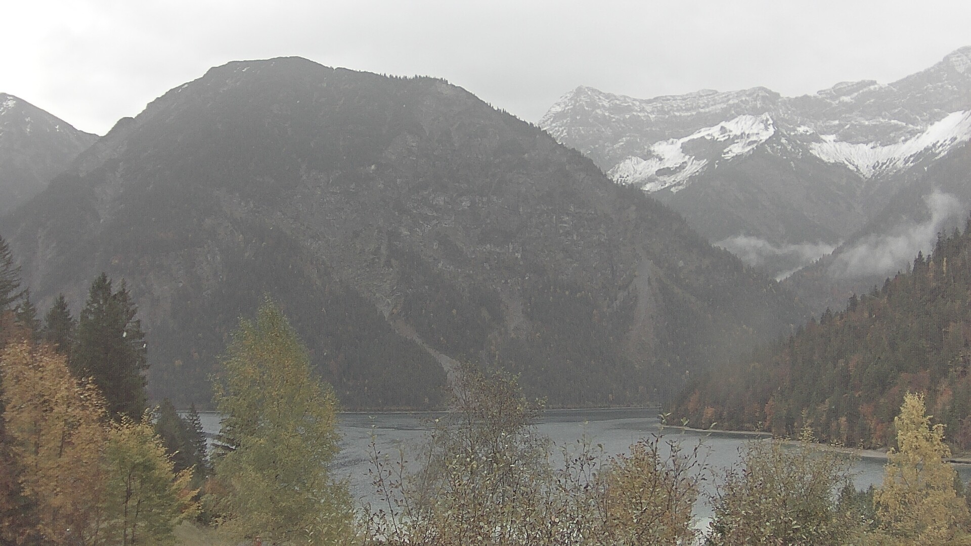 Archiv Foto Webcam Plansee Seespitze