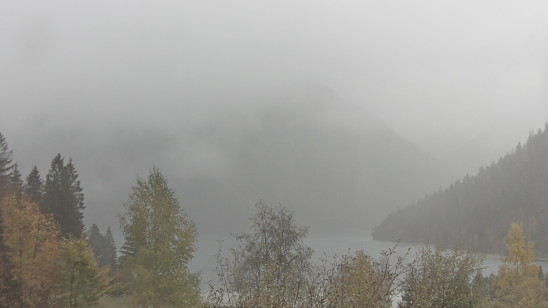 Archiv Foto Webcam Plansee Seespitze