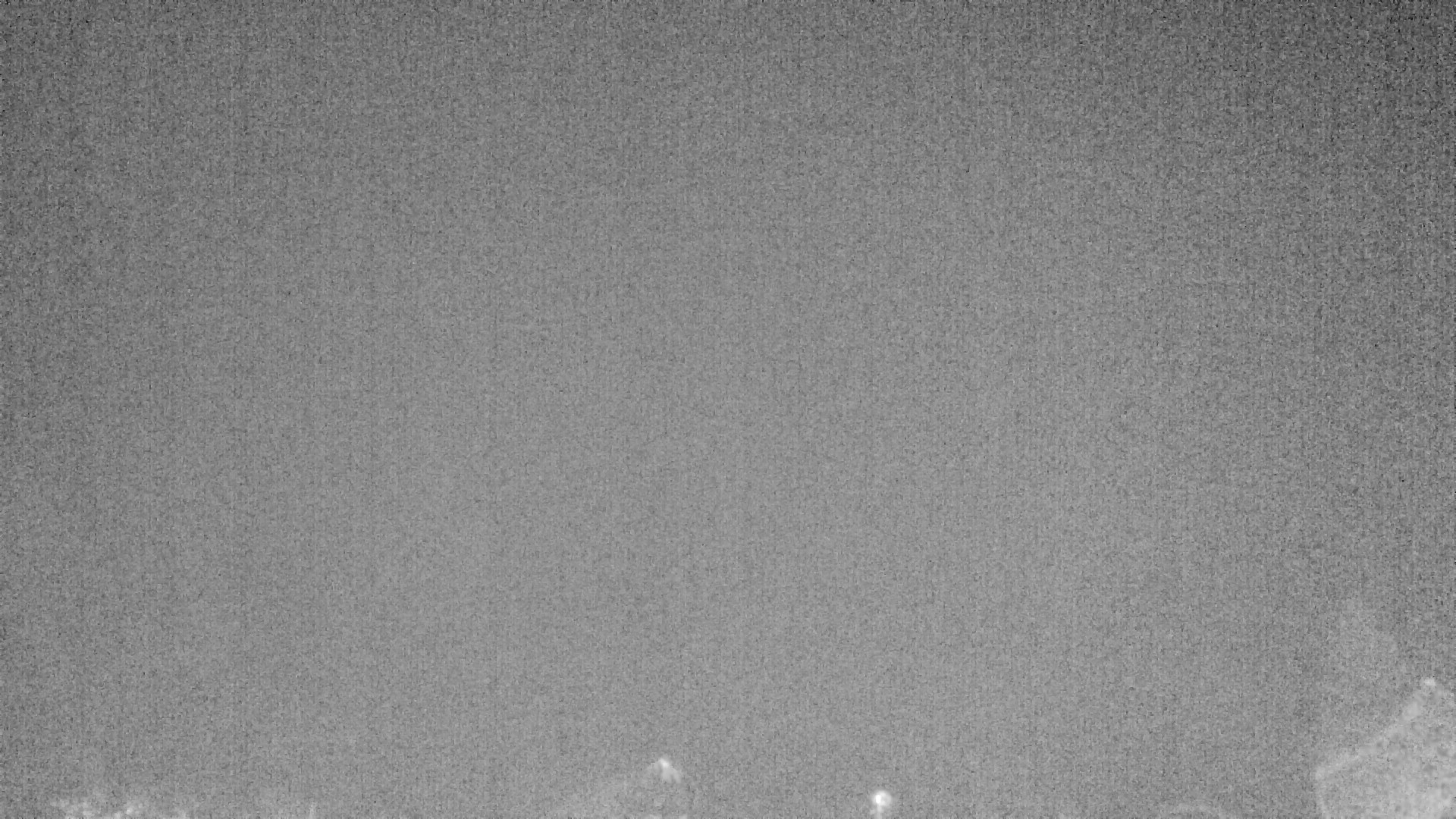 Archiv Foto Webcam Plansee Seespitze