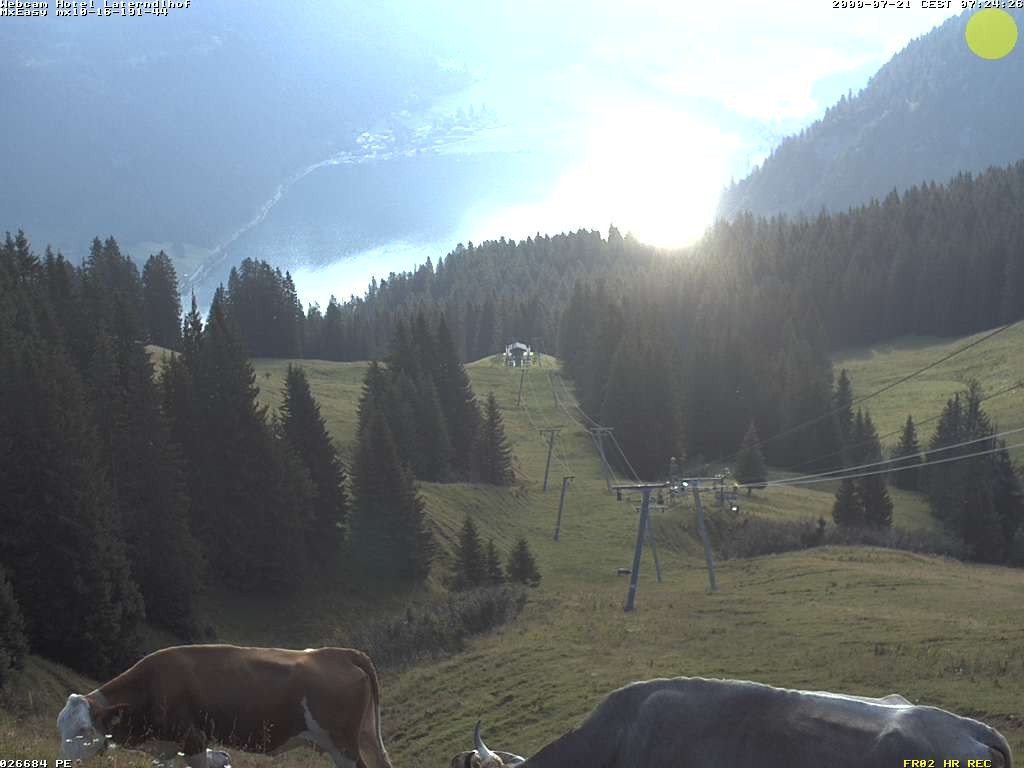 Archiv Foto Webcam Neunerköpfle: Blick auf den Haldensee