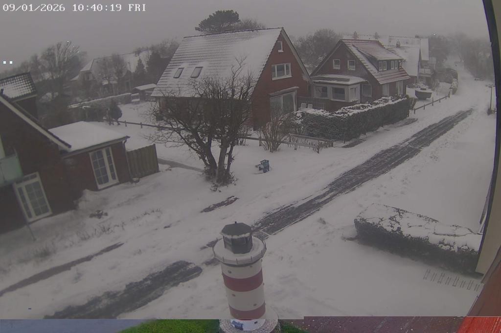 Archiv Foto Webcam Haus Süderloog - Langeoog