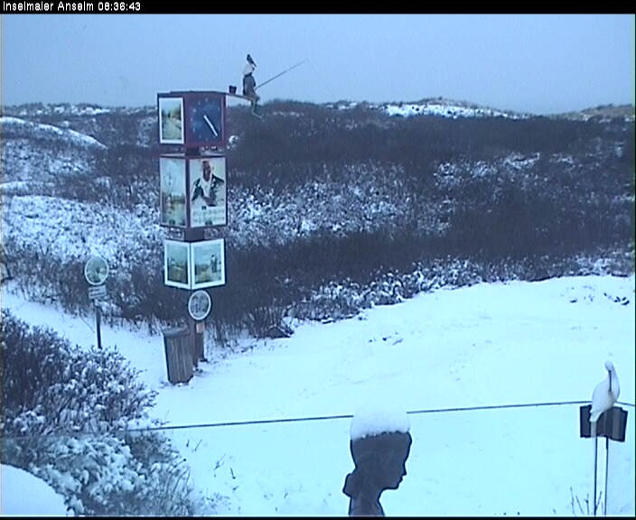 Archiv Foto Webcam Langeoog: Atelierausblick Inselmaler Anselm