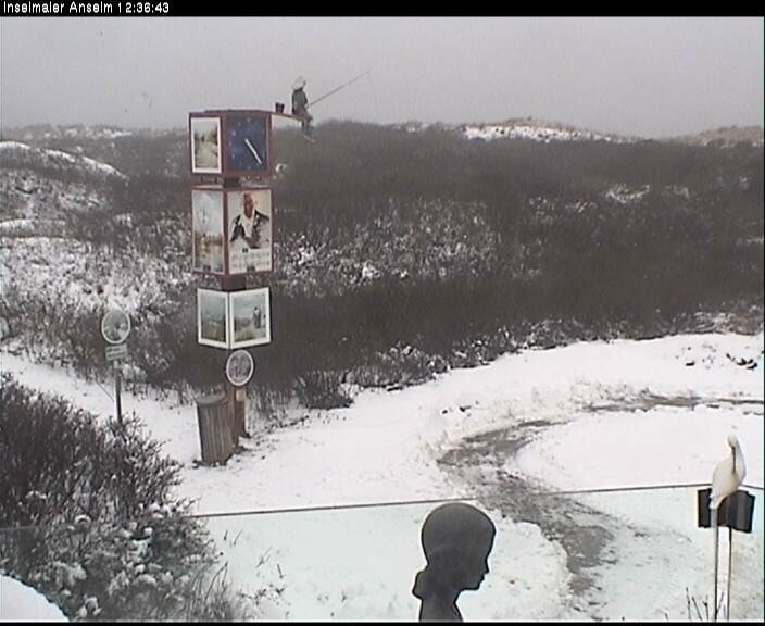 Archiv Foto Webcam Langeoog: Atelierausblick Inselmaler Anselm