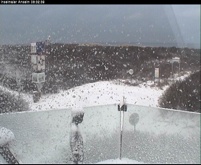 Archiv Foto Webcam Langeoog: Atelierausblick Inselmaler Anselm