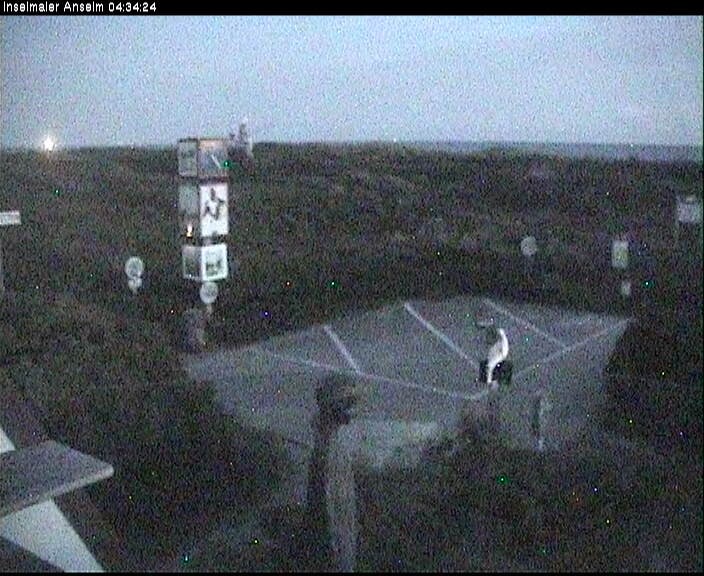 Archiv Foto Webcam Langeoog: Atelierausblick Inselmaler Anselm