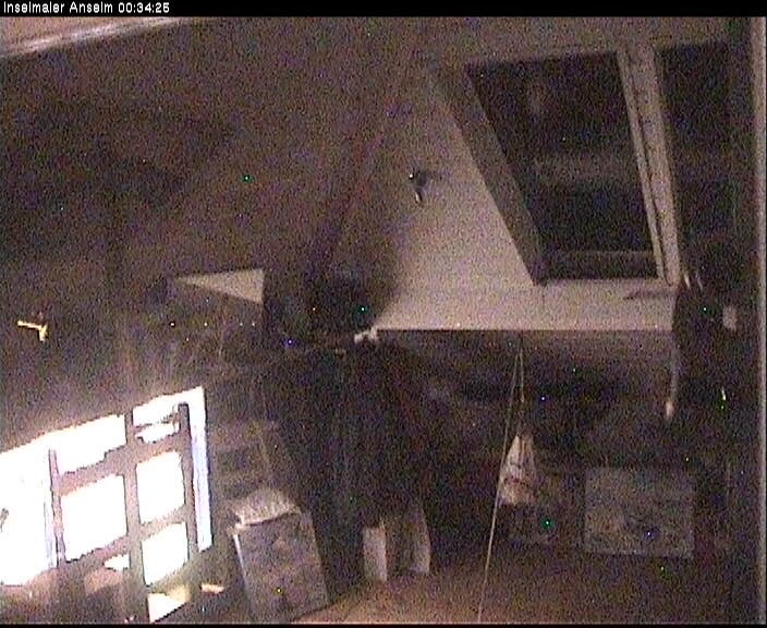Archiv Foto Webcam Langeoog: Atelierausblick Inselmaler Anselm