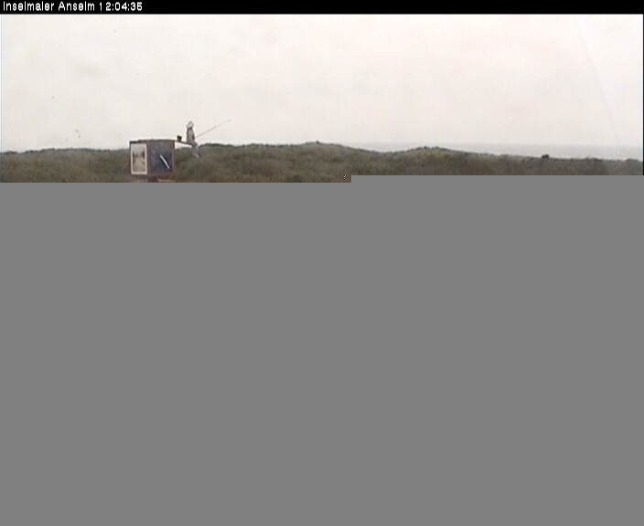 Archiv Foto Webcam Langeoog: Atelierausblick Inselmaler Anselm