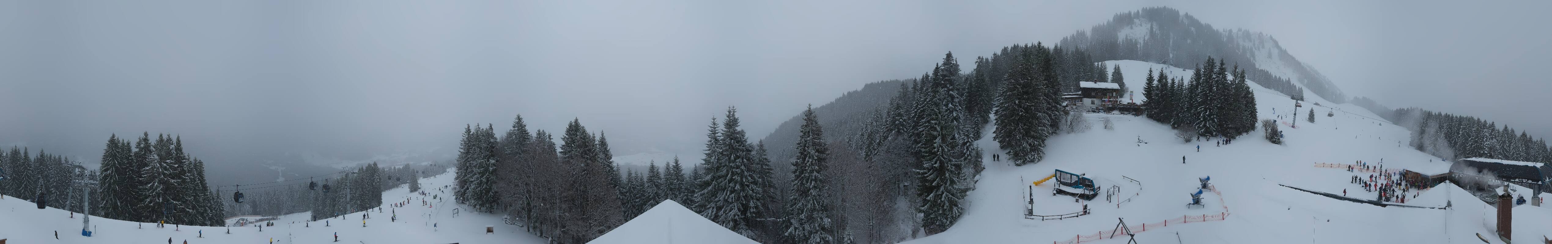 Archiv Foto Webcam Panoramablick Söllereck