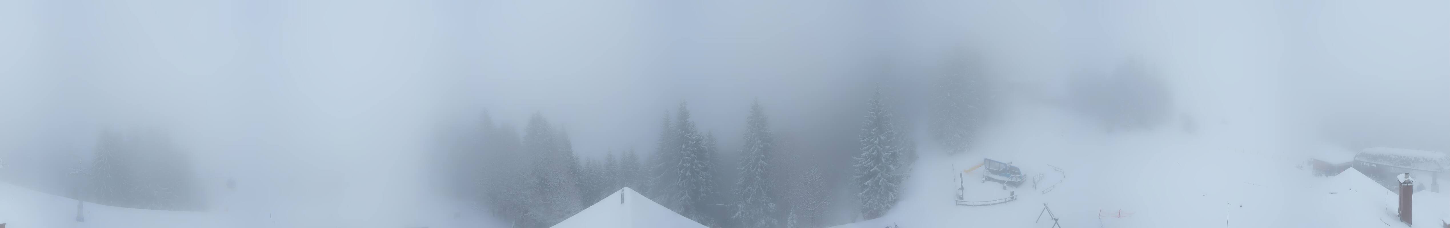 Archiv Foto Webcam Panoramablick Söllereck